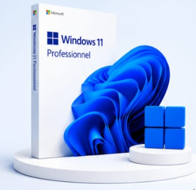 Windows 11 Professionnel